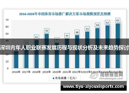 深圳青年人职业联赛发展历程与现状分析及未来趋势探讨